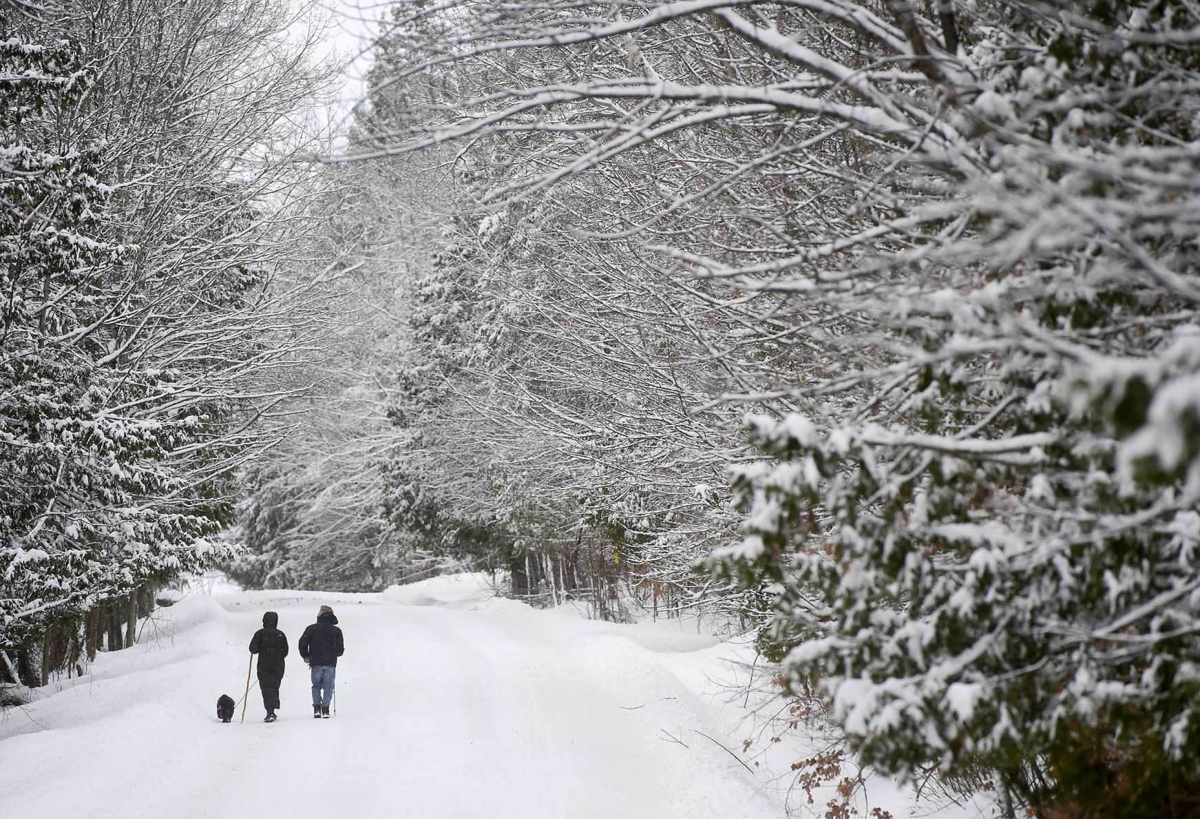 Snowy walk